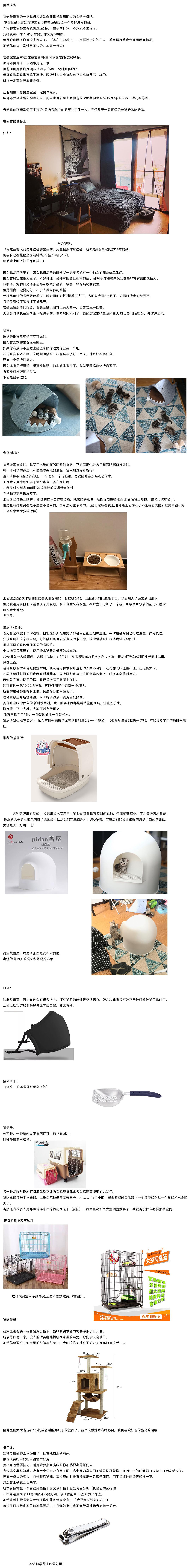 养猫干货方法与技巧,养猫干货视频教程全集
