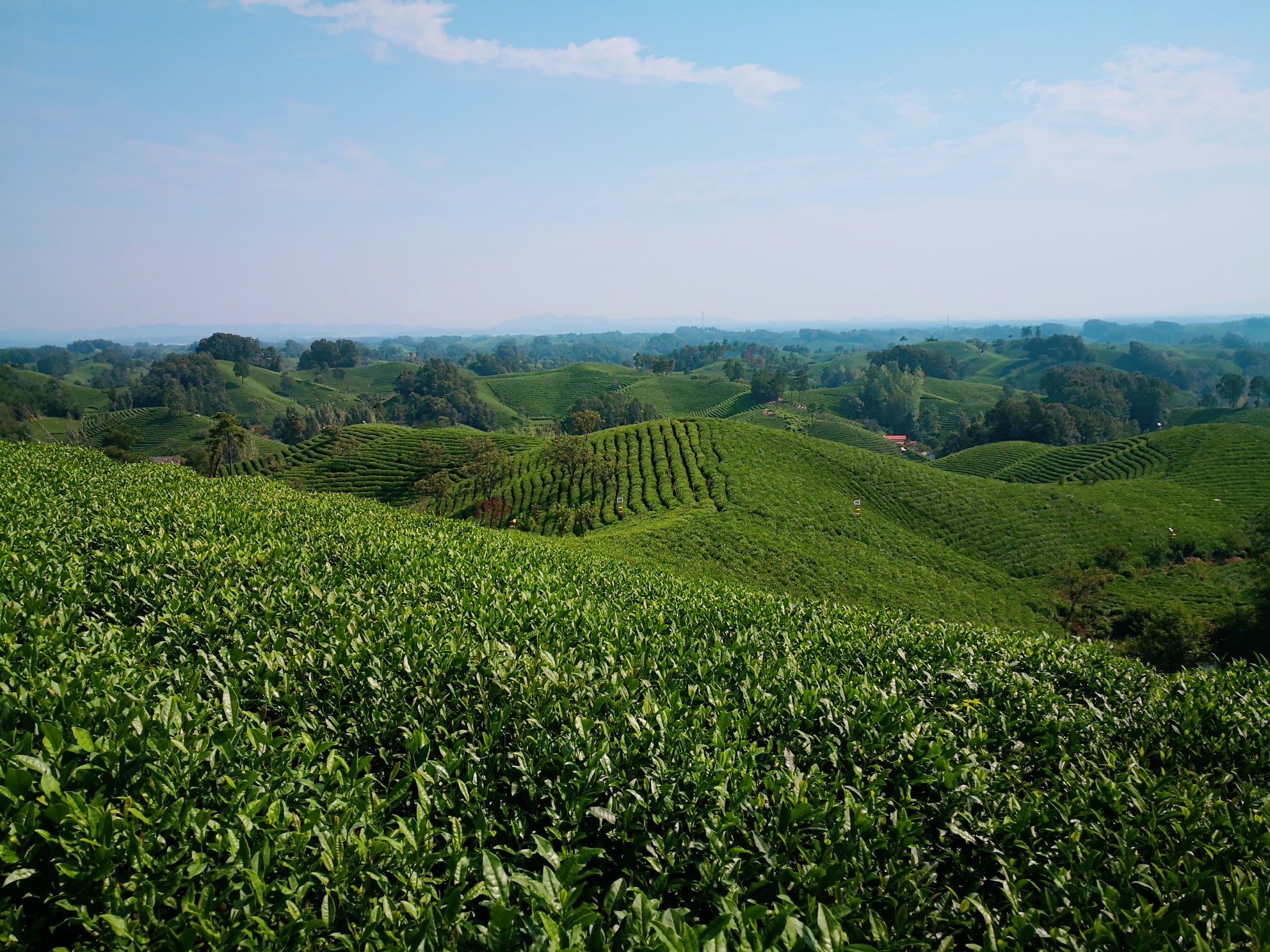 宜居城市信阳气候宜人环境优美,信阳宜居养老哪个位置最好