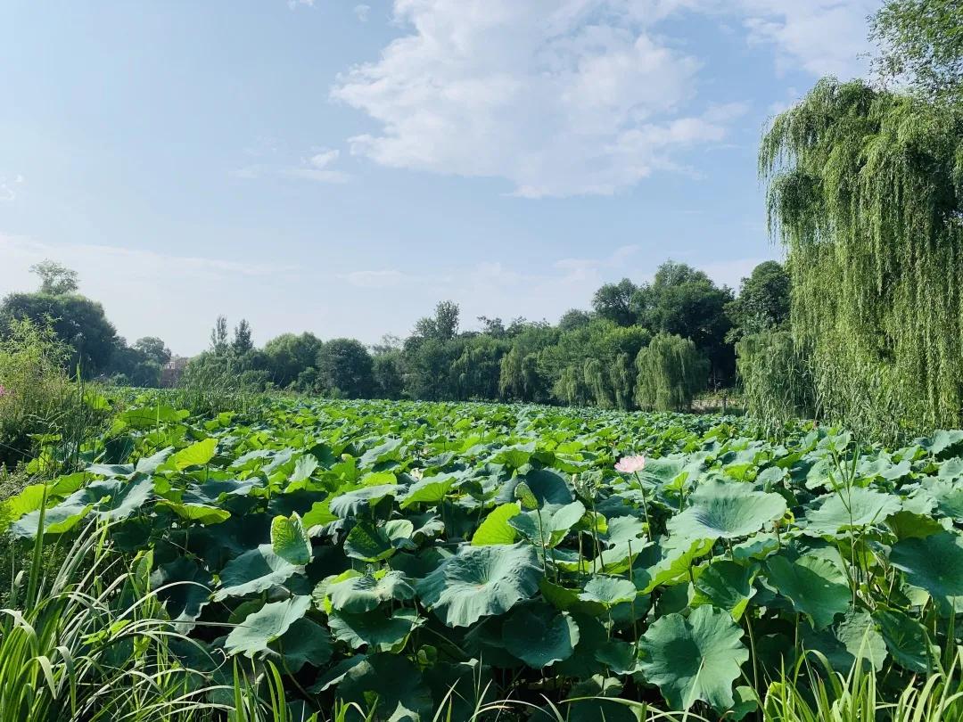 渭南丹凤葡萄酒厂新闻报道,西安客户来考察