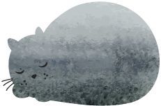 大连这家西餐厅美得像仙境,大连正宗西餐厅推荐