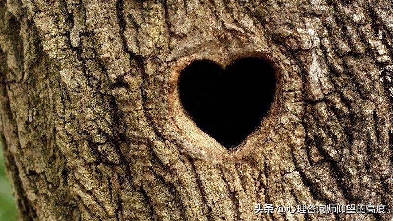一个有温度的“树洞”,是什么样的?