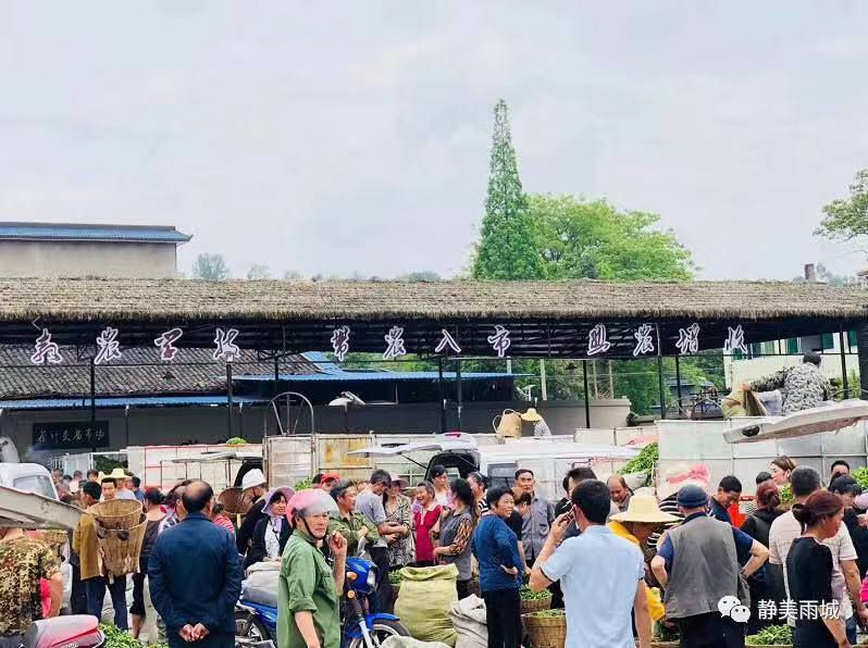 雨城区乡镇名称,雨城区区划