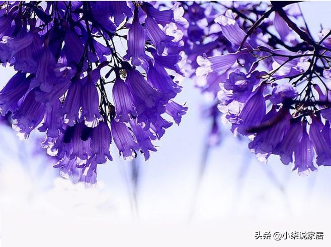 修复干燥敏感肌肤,修复敏感肌泛红发烫