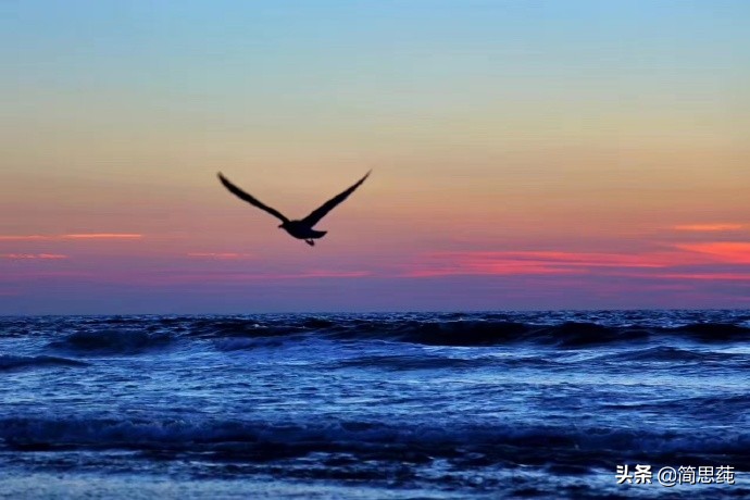 诚信教学设计一等奖,诚信作文拟题技巧