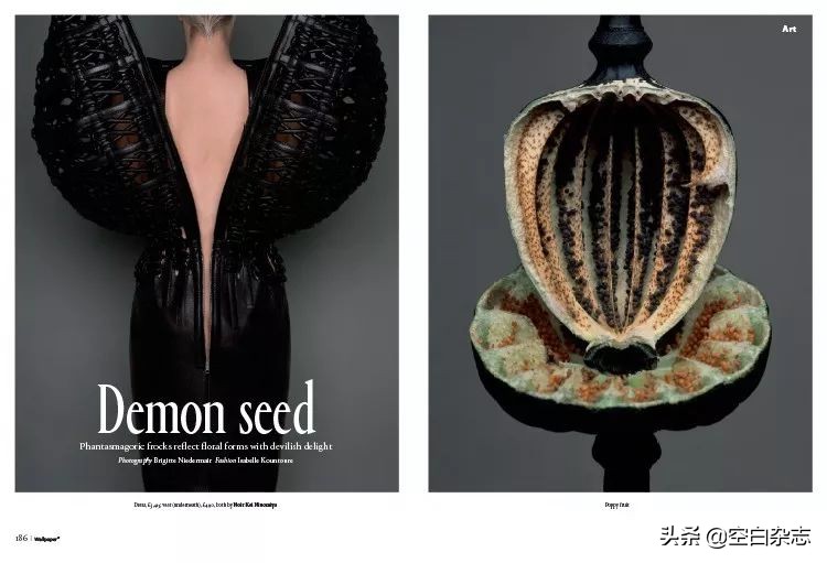 关于女性的时尚杂志,2019年十月时尚杂志