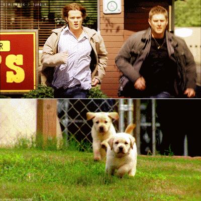 老板说半个小时以上算加班,老板说节假日三倍工资