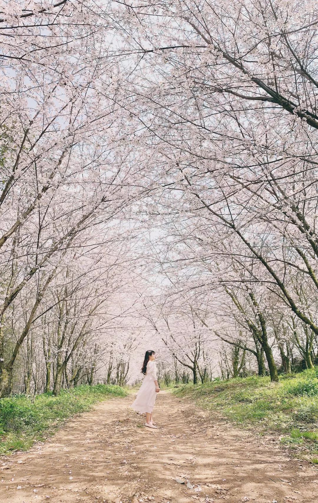 iphone手机拍照操作指南,iphone手机拍照技巧教程