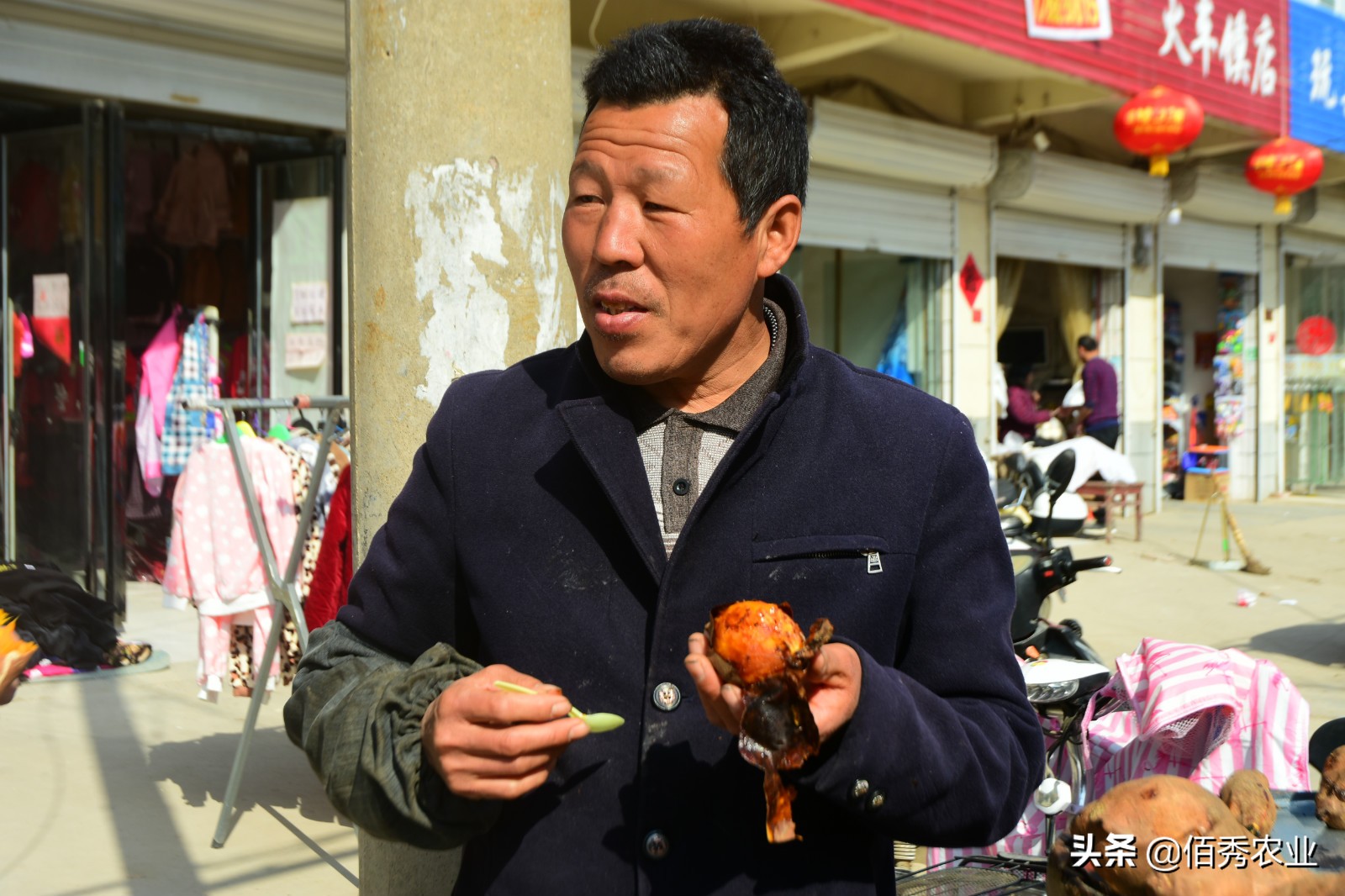 红薯种植一亩能产多少斤多少利润,农村红薯蔬菜种植最赚钱