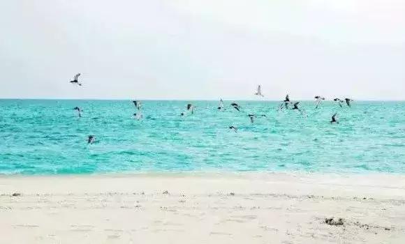 城市印象小区好不好,城市印象海安