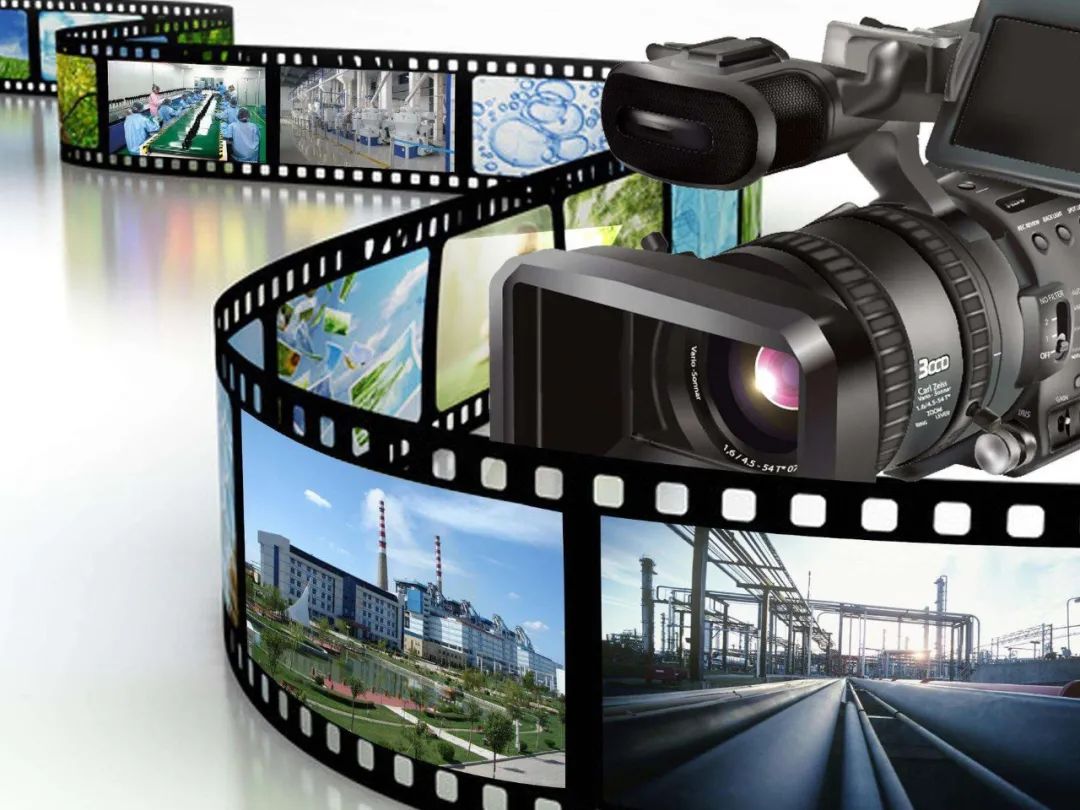 全国青少年科学影像节一等奖作品,全国科普作品征集