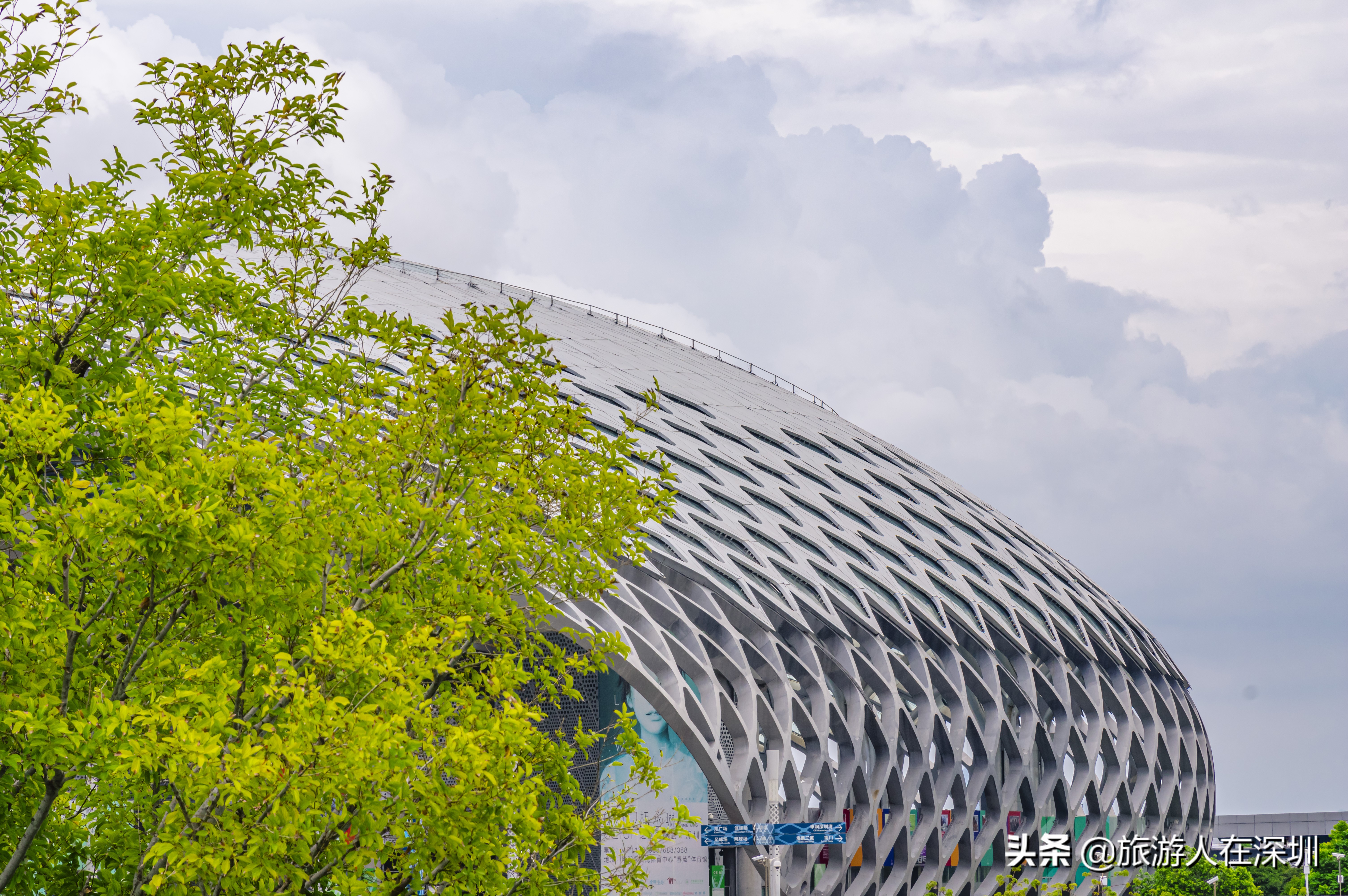 鸟巢体育场建筑特点,深圳湾体育中心像什么