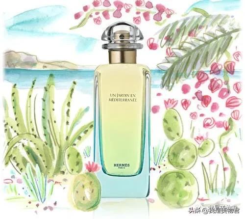 夏天的味道是淡淡的香味很好闻,夏天的味道小清新卡点