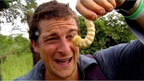 精品推荐挨饿荒野生存类手游,挨饿荒野手游教程