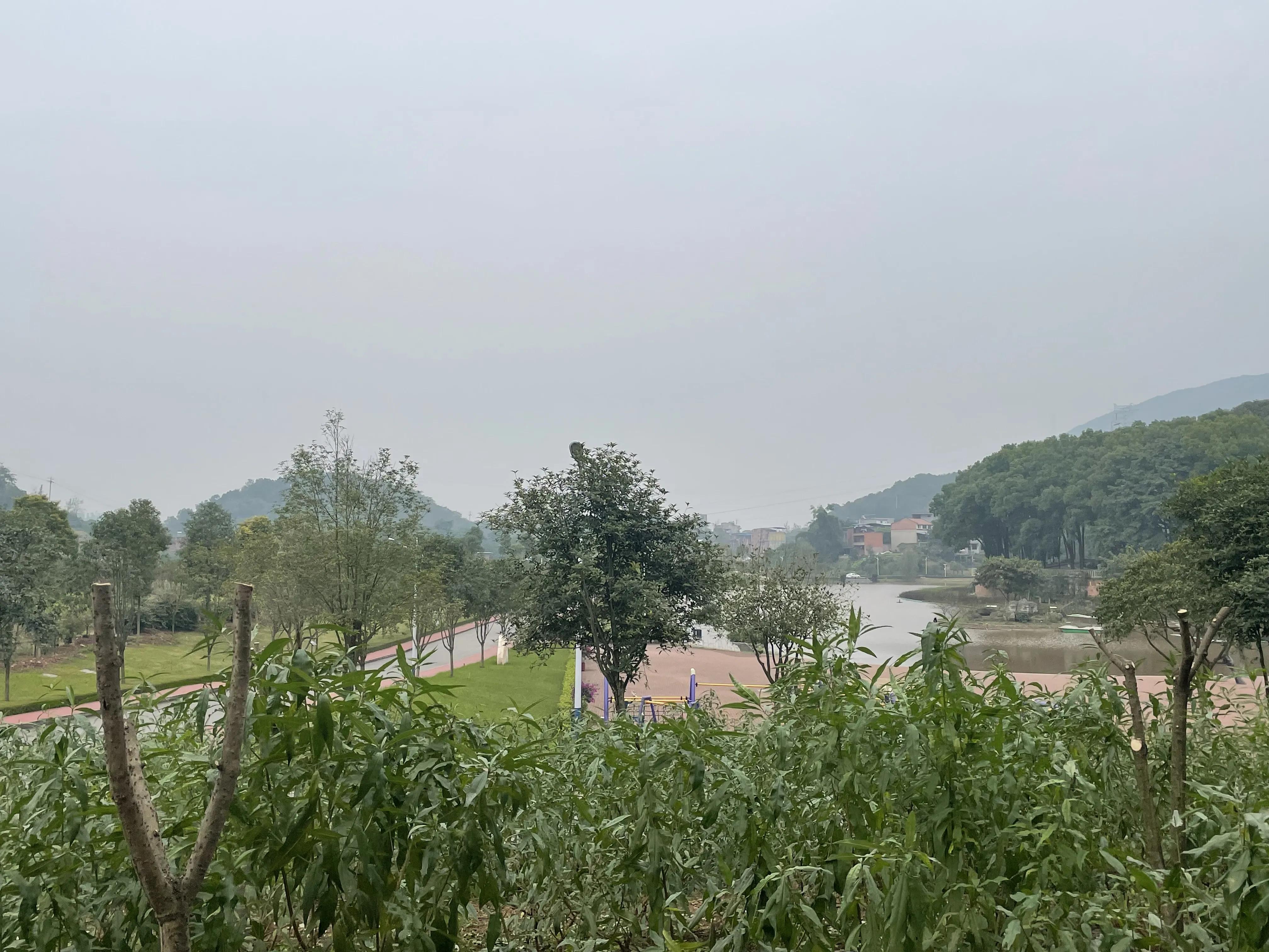 如何做一个合格的大学生家长,如何做一个合格的大学生演讲稿