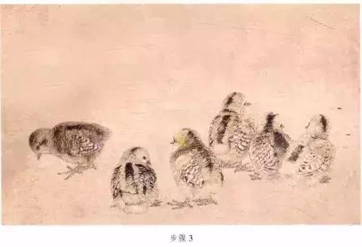 苏百钧工笔国画教学视频,苏百钧花鸟白描画稿