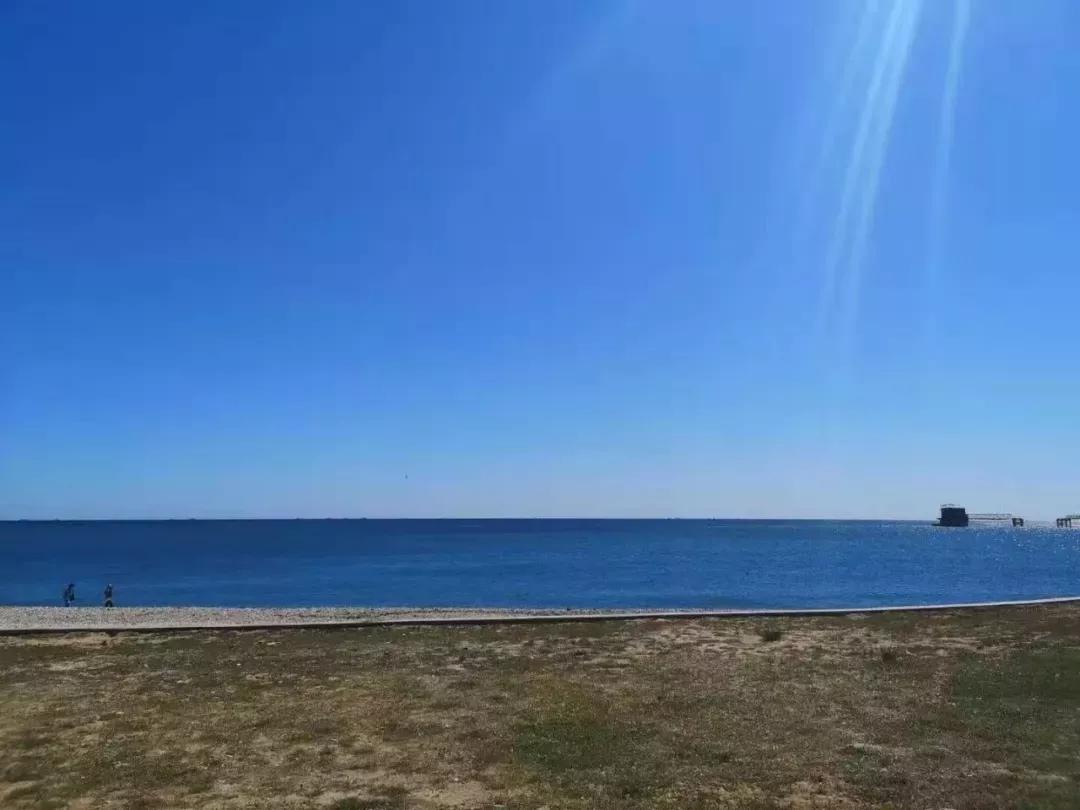 辽宁省高校（三十一）大连医科大学