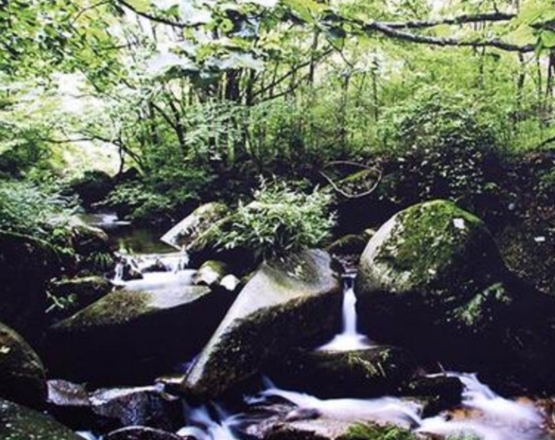 南召宝天曼地质公园,宝天曼内乡地质公园