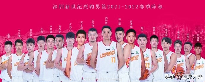 cba2019年深圳男篮名单,2020深圳男篮队员名单