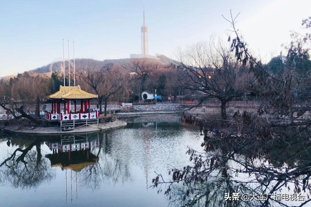 大连市儿童医院门诊,大连市儿童医院投诉电话