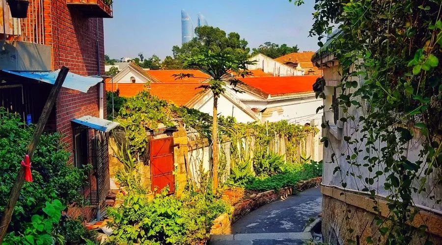 厦门海岸线咖啡网红打卡地地址,厦门观音山网红打卡地