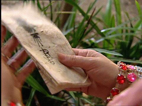 卫斯理红崖天书白素扮演者,18年前老片