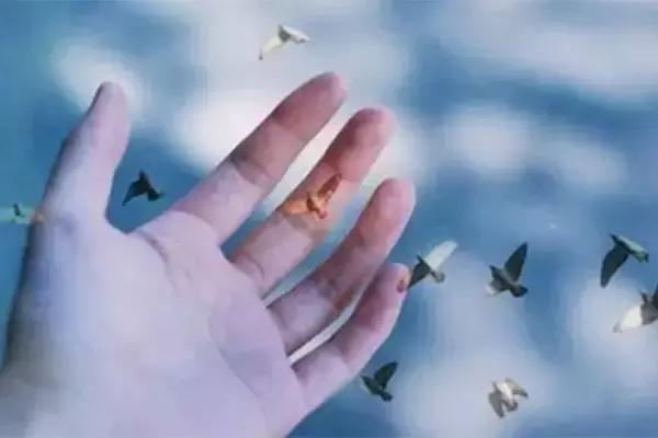 餐厅服务技巧话术,餐厅贴心细节