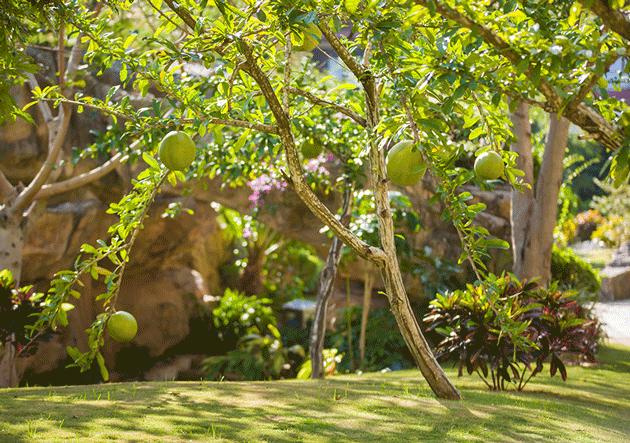 三亚天域酒店亲子攻略,三亚旅游攻略亲子酒店