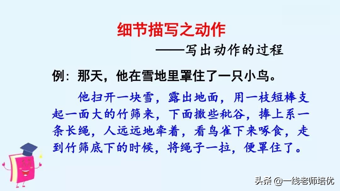 知识点部编版四年级语文上册习作：生活万花筒