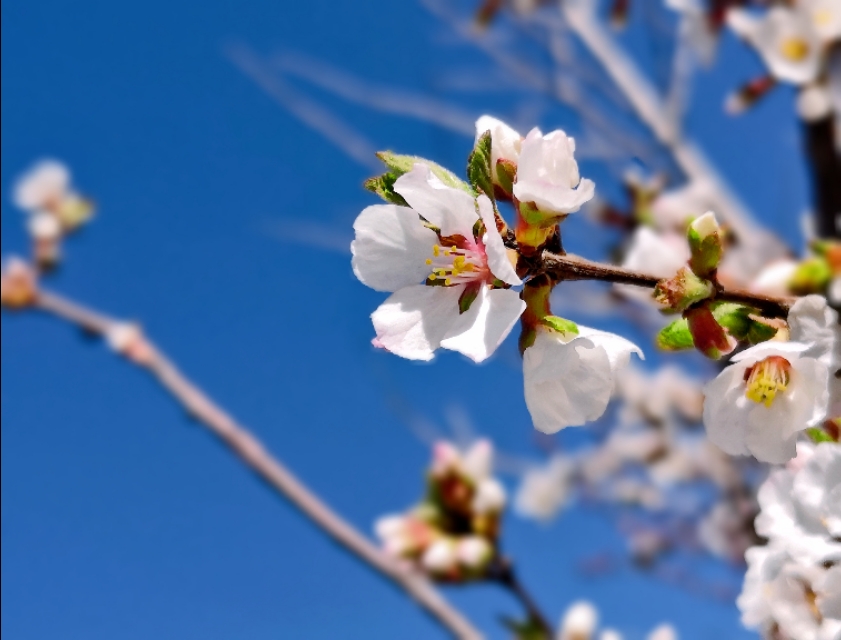 璇楃ぞ閲囬娲诲姩,浼楀垱璇楃ぞ涓冨緥