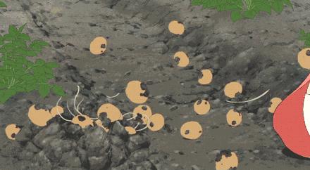 鐮旂┒鐢熸憜鎽婂崠楦$埅,鐮旂┒鐢熷崠楦$埅