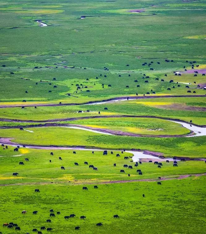 甘南被誉为,甘南世界十大美景