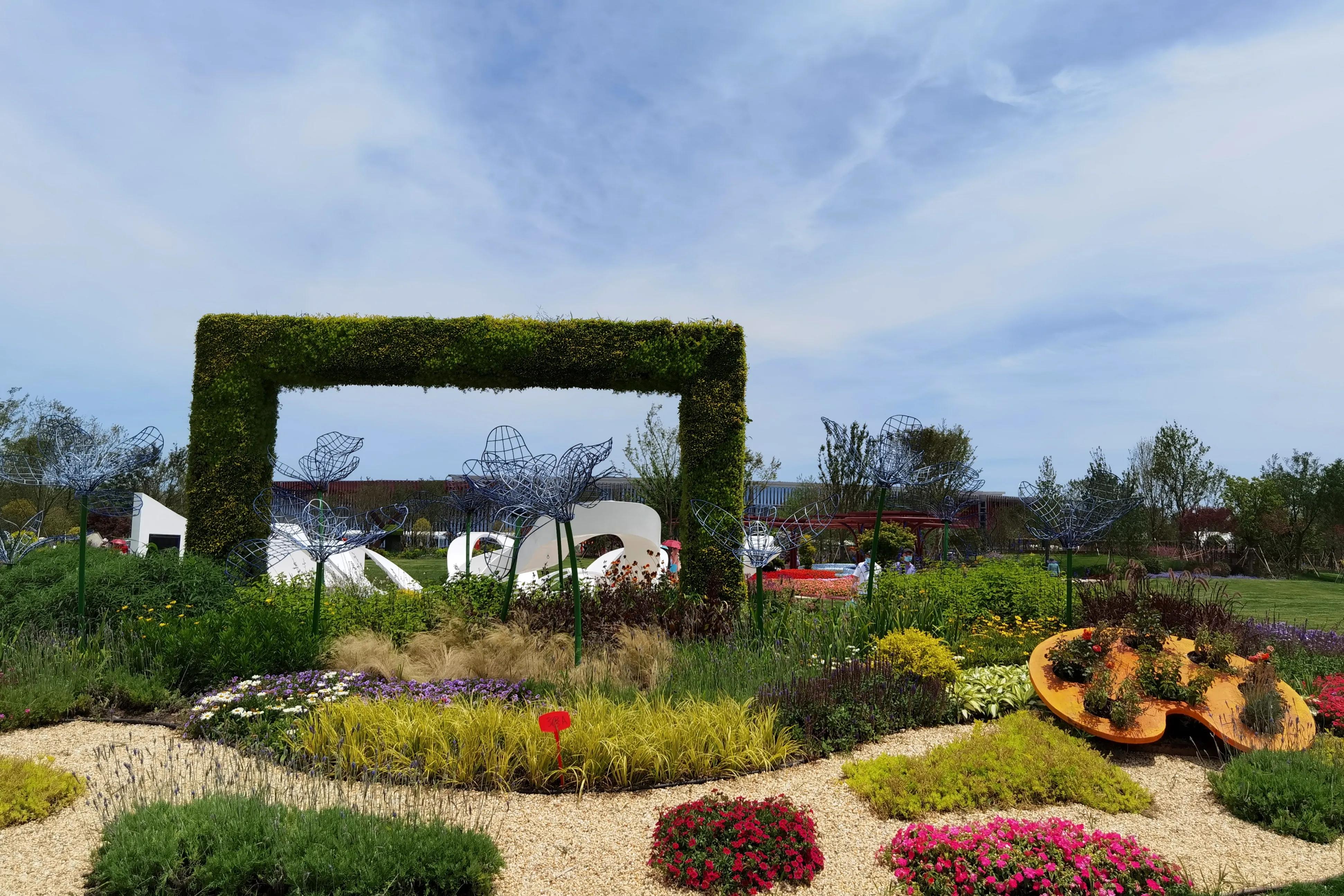 关于崇明花博会,崇明花博会全程花景