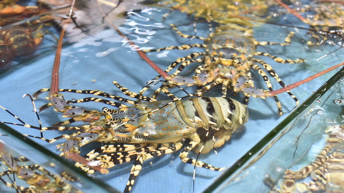 泰国旅游漫游,泰国6天惊喜之旅