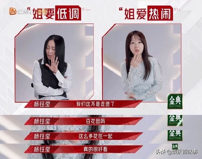 浪姐2,浪姐2完整名单