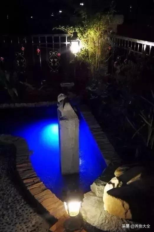 经历2次整池团灭，没关系！接着买从头再来！