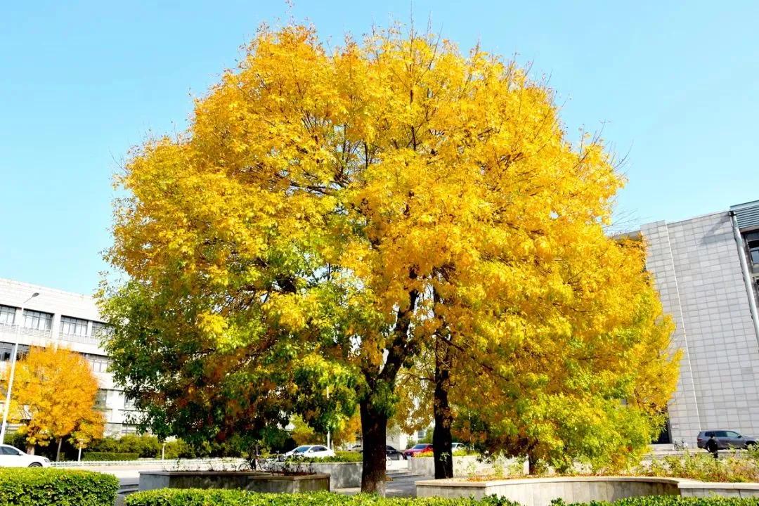 天津市普通高等院校,天津师范高等专科学校