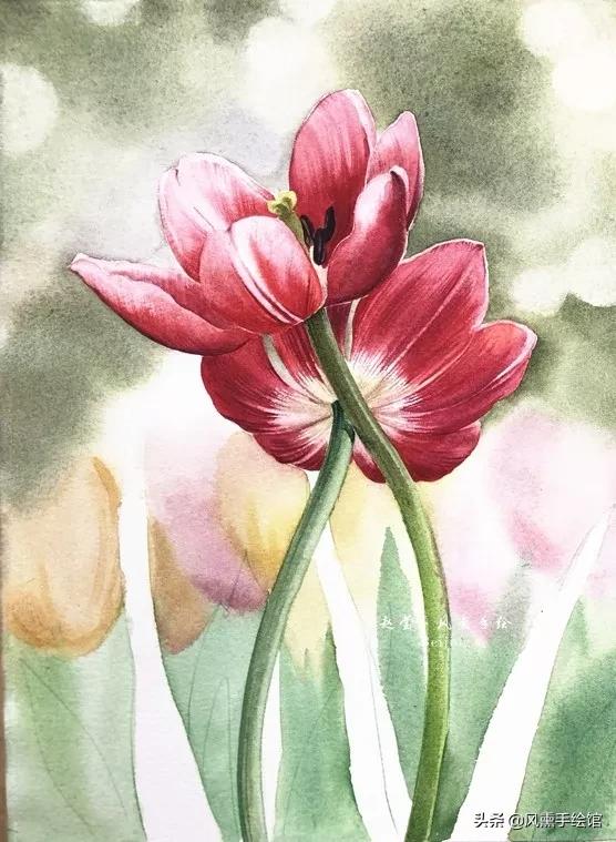 怎么用水彩笔画郁金香教程,粉色水彩郁金香怎么画图片