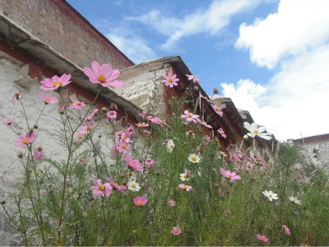 女孩独自一个人去旅游的心理,独自一人去西藏在哪里最好