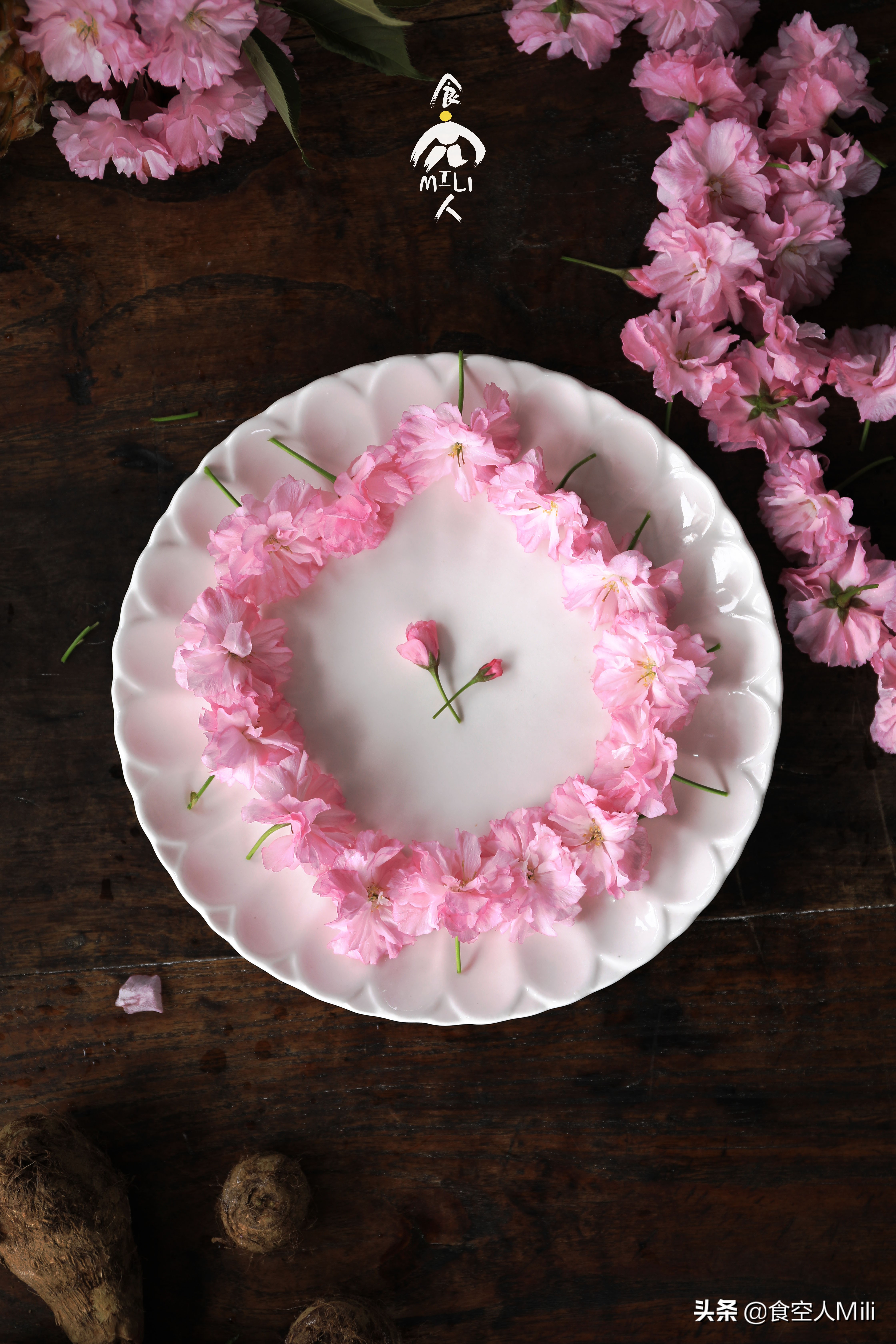 最火的樱花果冻甜品,超醇滑芝士布丁