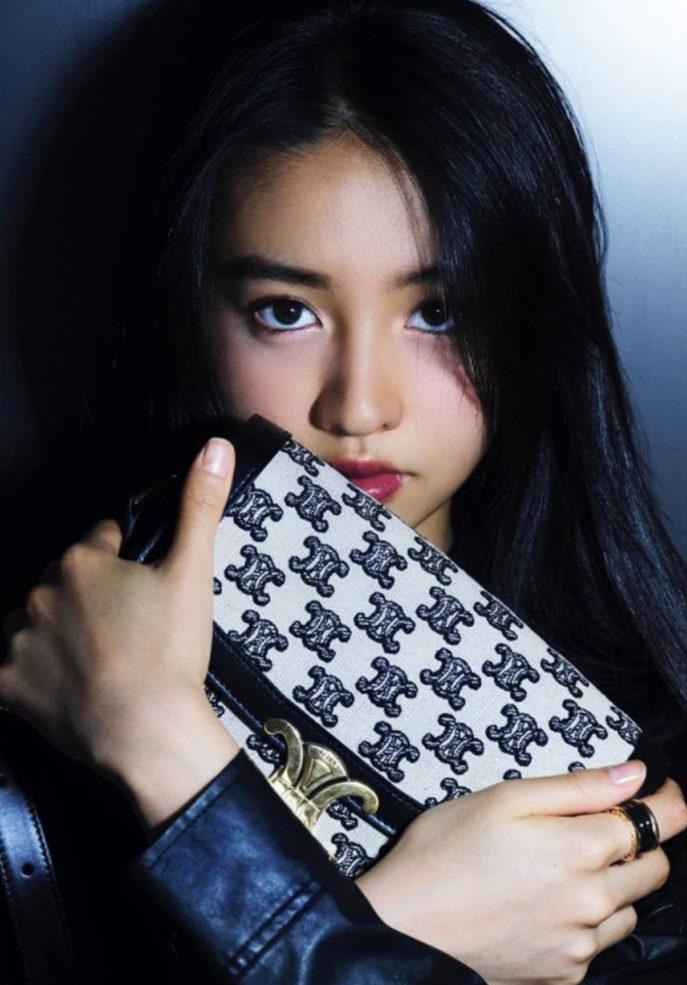 celine经典老花,celine凯旋门刺绣老花