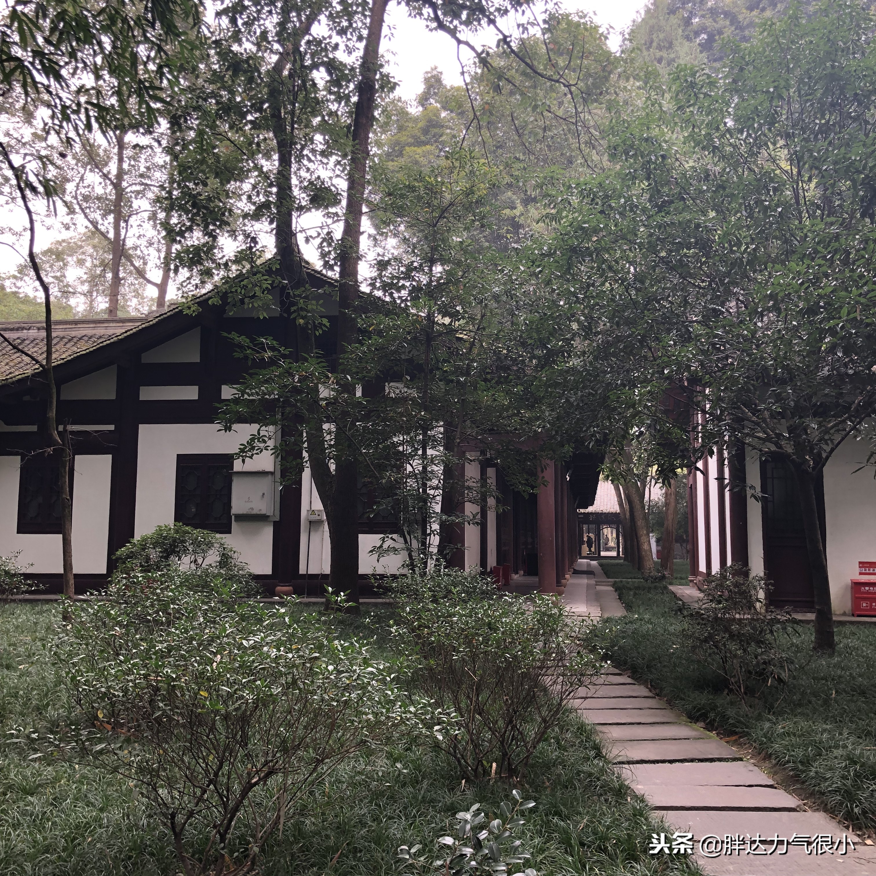 成都失恋之旅,失恋了去成都哪里旅游好