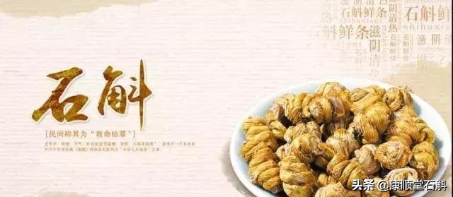 怎么选铁皮枫斗,铁皮枫斗怎样培养