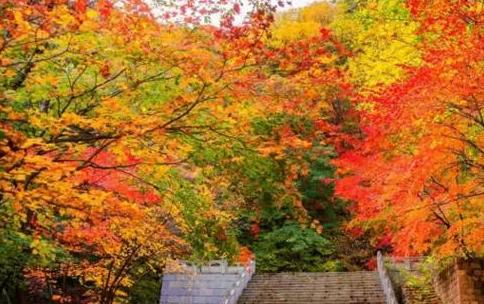 鞍山岫岩玉都,揭秘中国玉都岫岩6万吨玉石