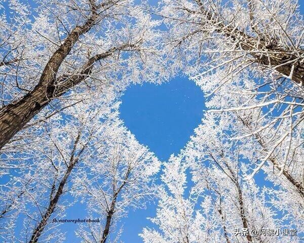 部编版语文七年级上册重点字词,部编版七年级上册第一单元字词