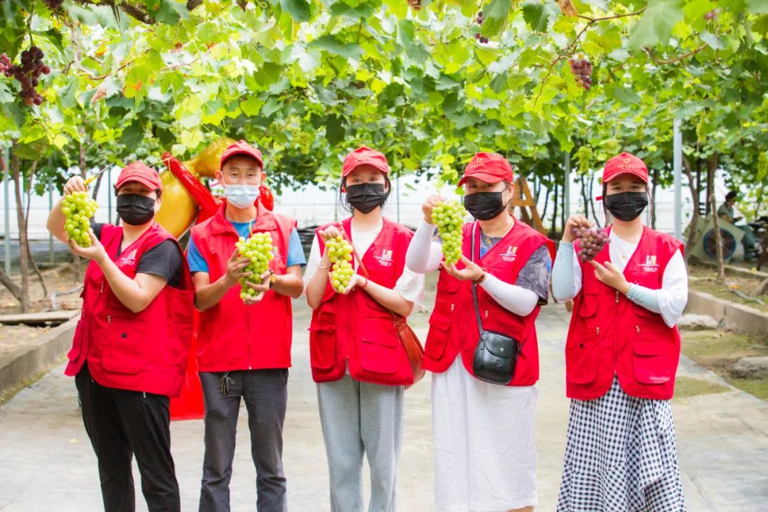文旅资讯站|慈溪市第十六届葡萄节暨灾后复产现场会顺利举行