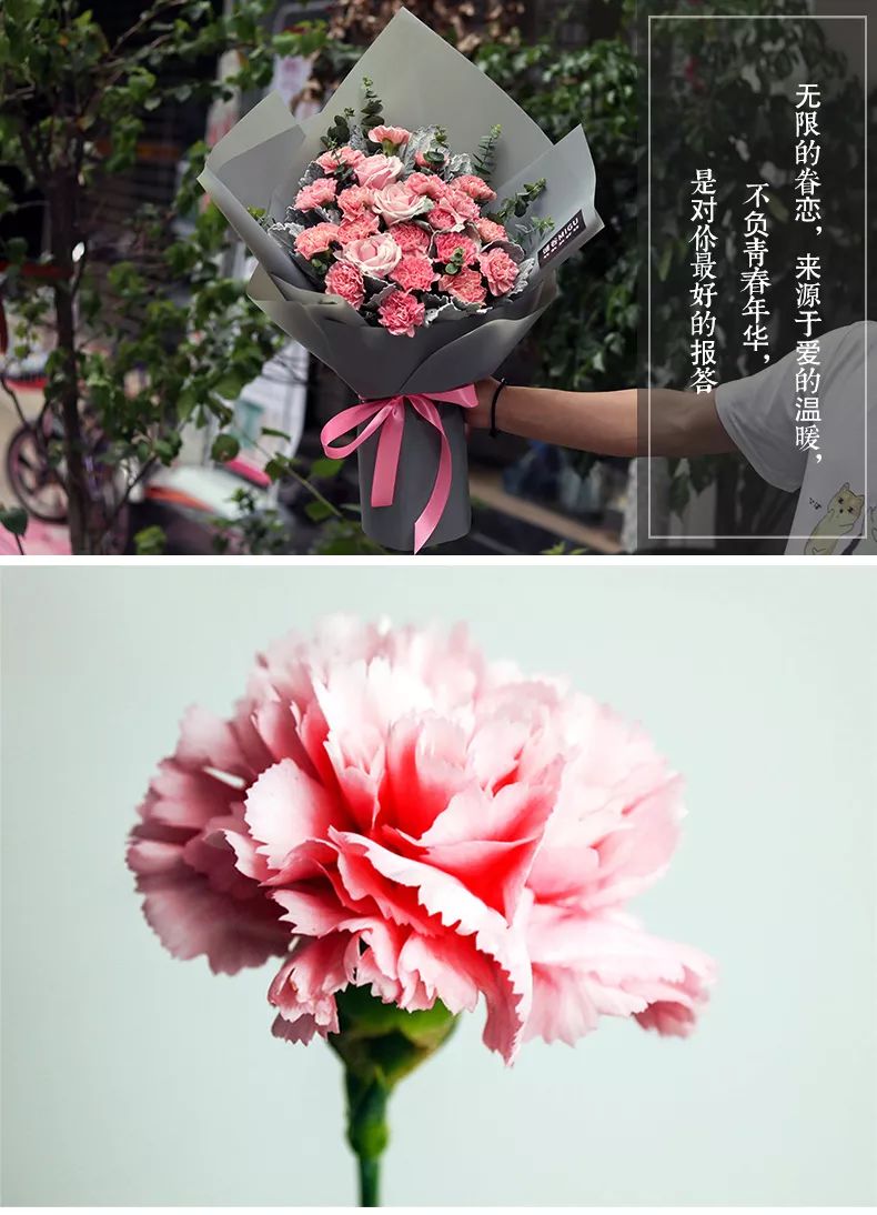 教师节应该给老师送什么花,教师节到了送什么花给老师好呢