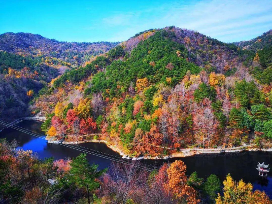 清凉寨春节活动,清凉寨枫叶节