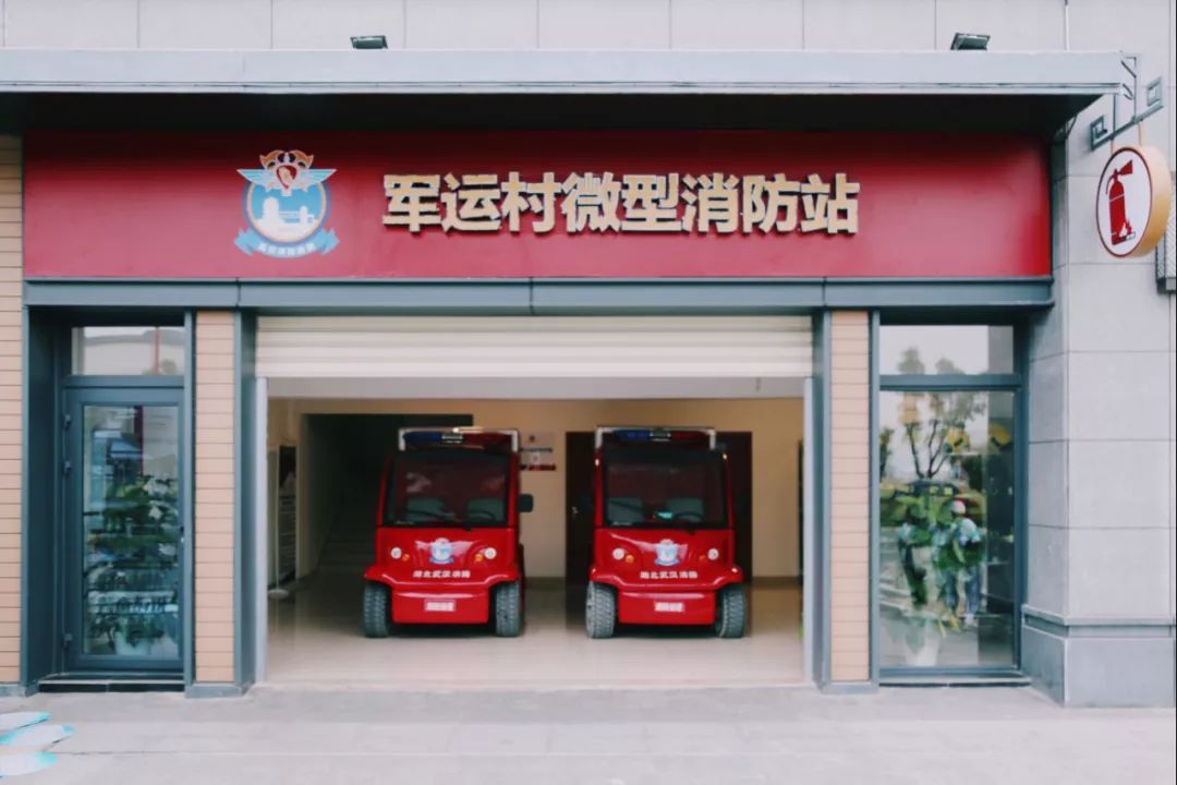 在江夏，我遇见了青松