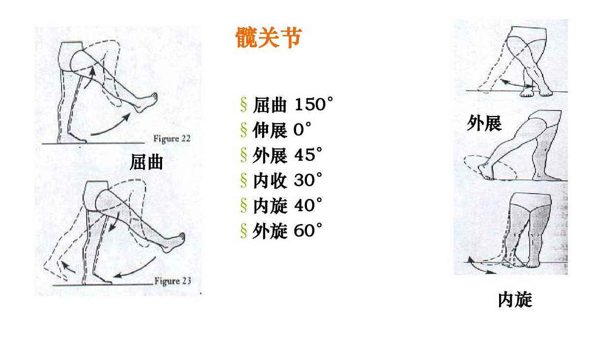 深蹲腰痛怎么办,深蹲腰痛怎么练腿