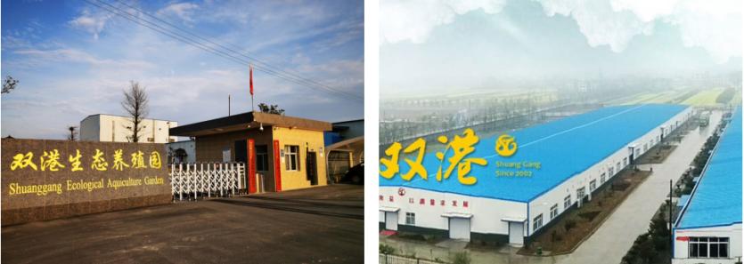 湖北双港农业科技贸易股份有限公司董事长李德胜